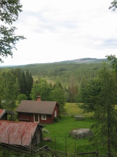 Brudskogen i Äppelbo Brudskogen i Äppelbo