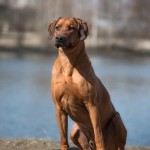 Moyo Persbrandt Moyo Persbrandt