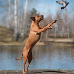 Happy Moyo <3 Happy Moyo <3