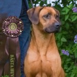 Moyo P best head at specialty show Moyo P best head at specialty show