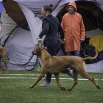 Moyo movement with johanna Moyo movement with johanna