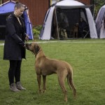 moyo with johanna moyo with johanna