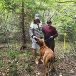 Moyo P Blood spår Moyo P Blood spår