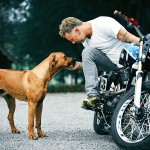 moyo med Mikael  копия