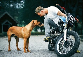 moyo med Mikael  копия