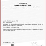 Certificate- JME MOYO