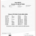 Certificate-2DNA PROFIL