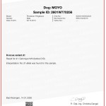 Certificate-Delute Moyo P