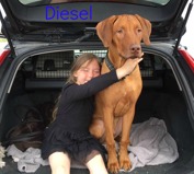 1 y o Diesel