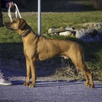 Moyo p first stack 3 y o Moyo p first stack 3 y o