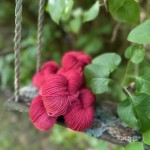 scarlet sock