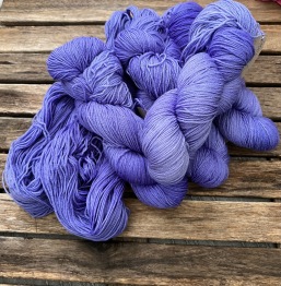 Iris, merino - Iris merino