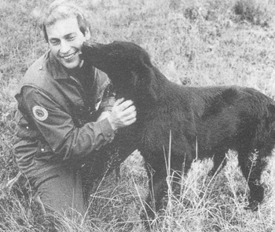 Klubbens första ordförande Stig Olsson tillsammans med sin Cosy, SJCh IntUCh NordUCh Gunhills Gallant Girl (Charmören 1/78). Klubbens första ordförande Stig Olsson tillsammans med sin Cosy, SJCh IntUCh NordUCh Gunhills Gallant Girl (Charmören 1/78).