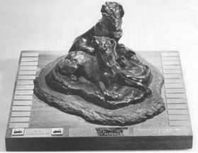 Vandringspriset "Årets flatcoat" (nr 1/78) Vandringspriset "Årets flatcoat" (nr 1/78)