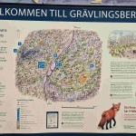 Hälleskogsbrännan_110