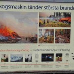 Hälleskogsbrännan_120