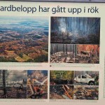 Hälleskogsbrännan_150