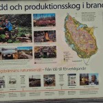 Hälleskogsbrännan_160