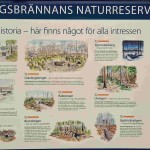 Hälleskogsbrännan_170