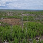 Hälleskogsbrännan_200