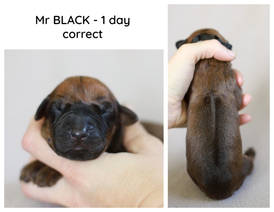 1day_black