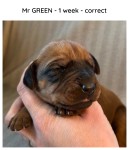 1week_green