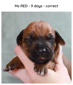 9ds_red