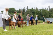 bästahane2