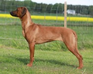 maggie7mån1