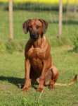 maggie7mån2