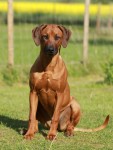 maggie7mån3