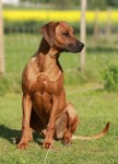 maggie7mån5