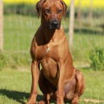 cooper13mån1