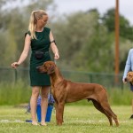 cooper14mån1