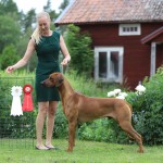 cooper14mån2