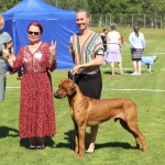 cooper15mån3