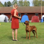 cooper15mån4
