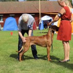 cooper15mån5