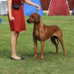 cooper15mån6