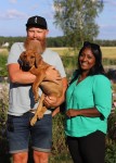 familj_dexter_mörkgrön