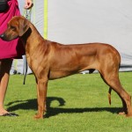 cooper3