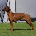 maggie1