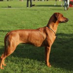 dag1maggie1