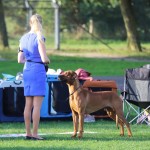 dag2cooper1