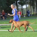 dag2cooper3