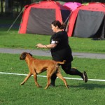 dag2leo2