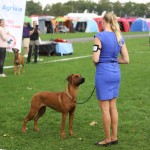 dag2maggie2