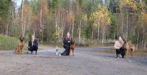 3pristagare 3pristagare