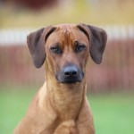 maggie1år1 maggie1år1