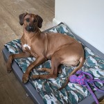 athena1år1 athena1år1